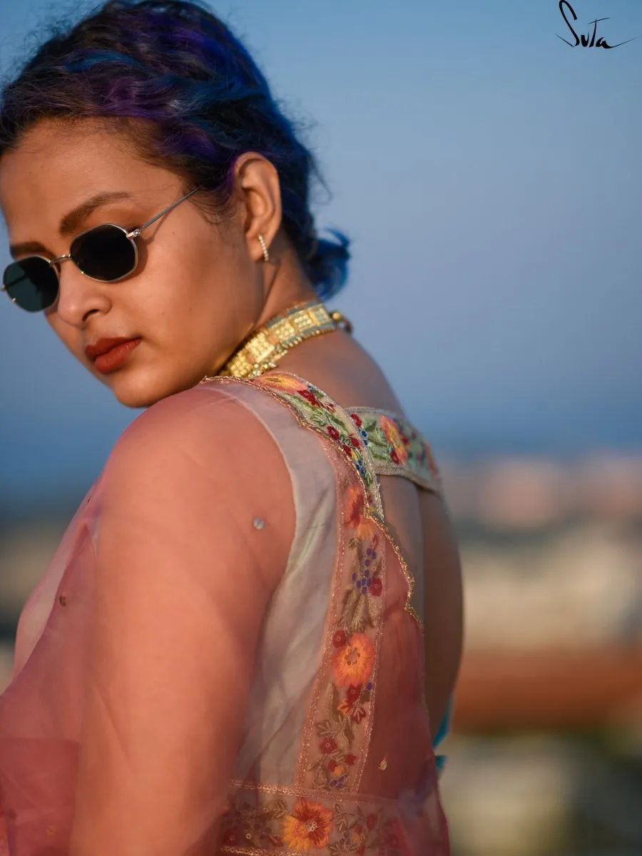 Aasmani Bagicha ( Blouse )