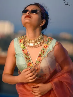 Aasmani Bagicha ( Blouse )