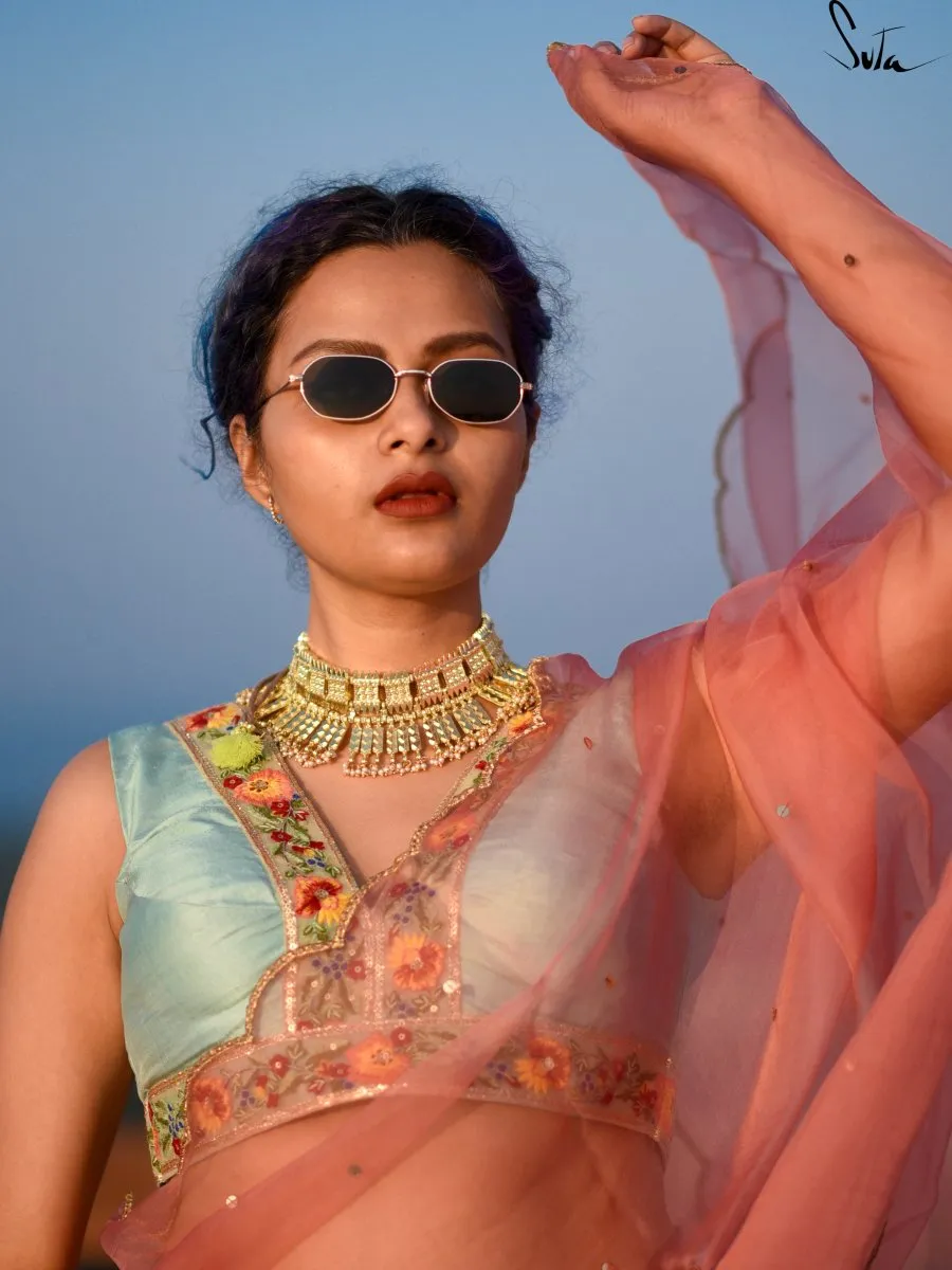 Aasmani Bagicha ( Blouse )