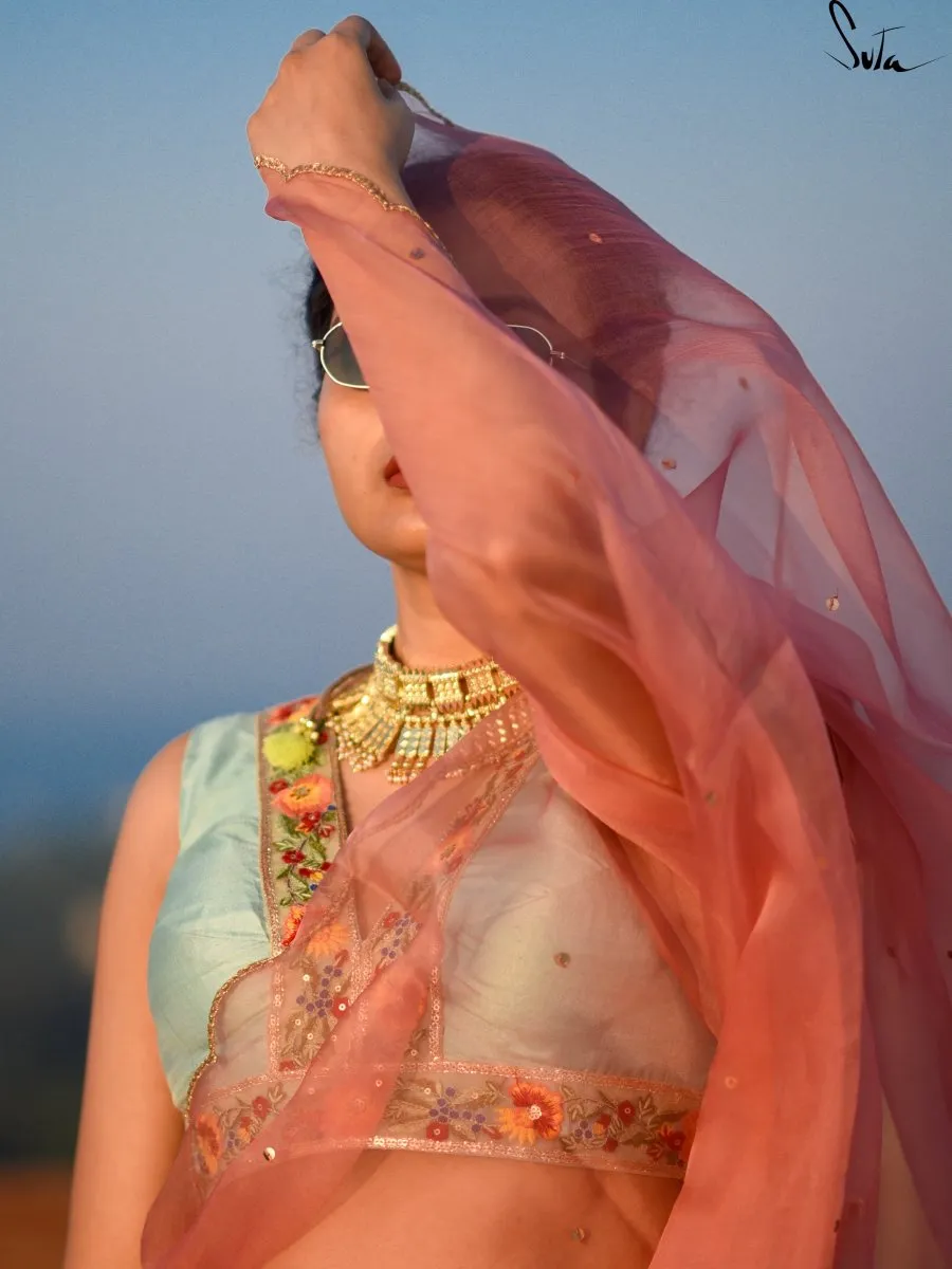 Aasmani Bagicha ( Blouse )