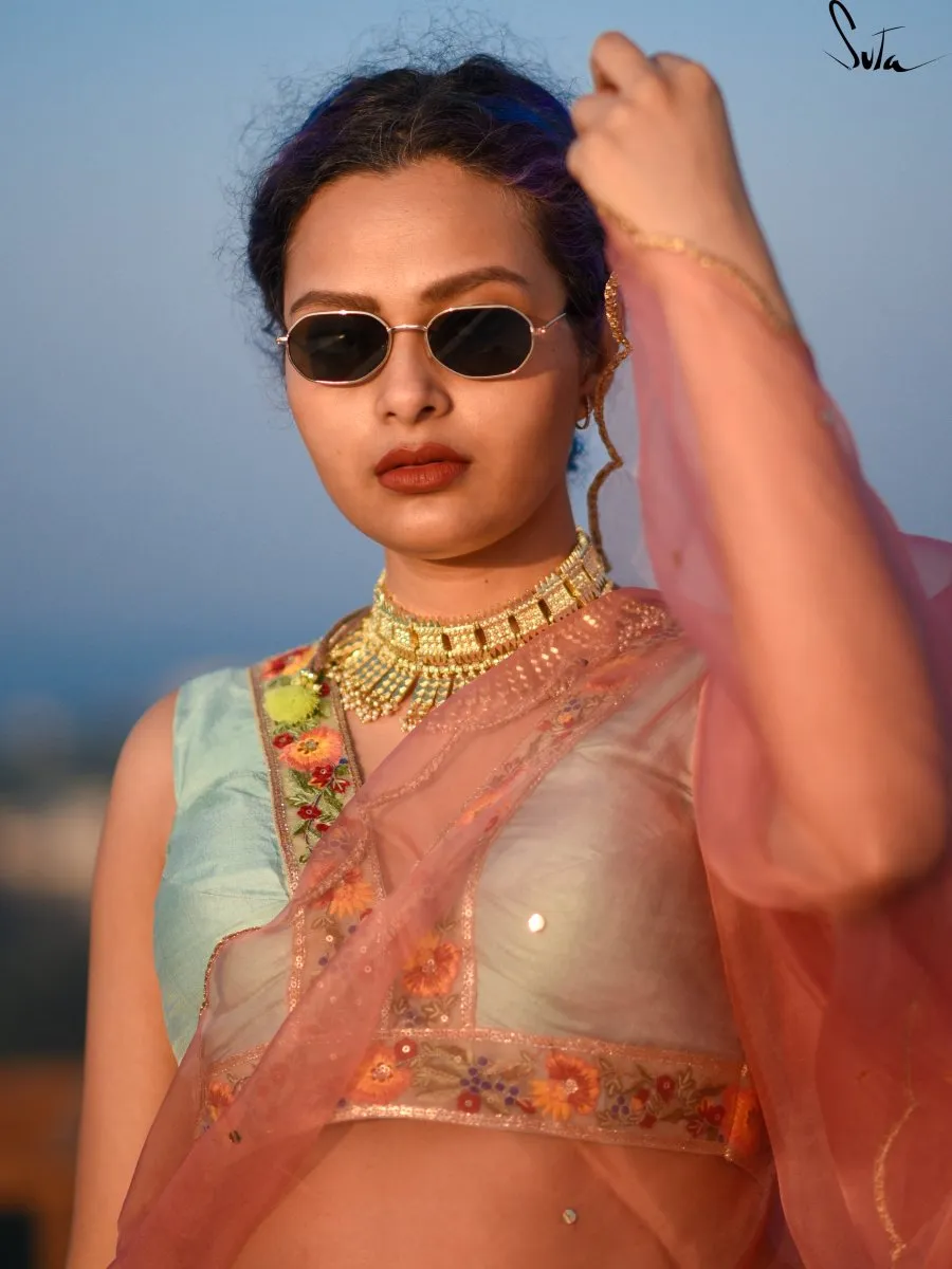 Aasmani Bagicha ( Blouse )